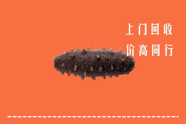 铜仁沿河回收海参