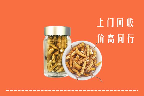 铜仁沿河回收冬虫夏草